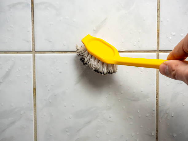 Professional Mold Removal in Marlinton, WV