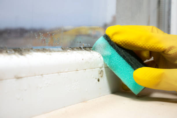 Best Mold Testing  in Marlinton, WV